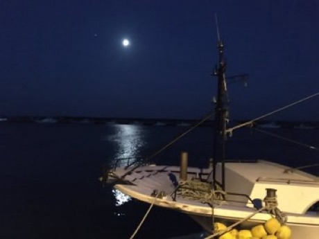 沖田演夢3/3〜3/7街頭弾き語りライブ配信のお知らせ